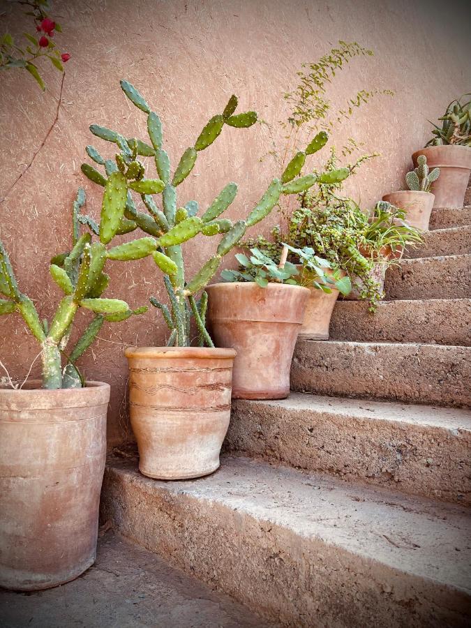 Aux Portes De Marrakech Villa Arts & Deco Avec Piscine Marrakesh Ngoại thất bức ảnh